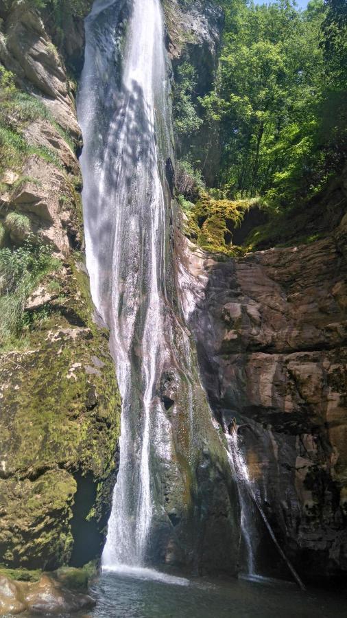 Le Chalet Du Blanc Spa Yoga Aillon-le-Jeune Екстериор снимка