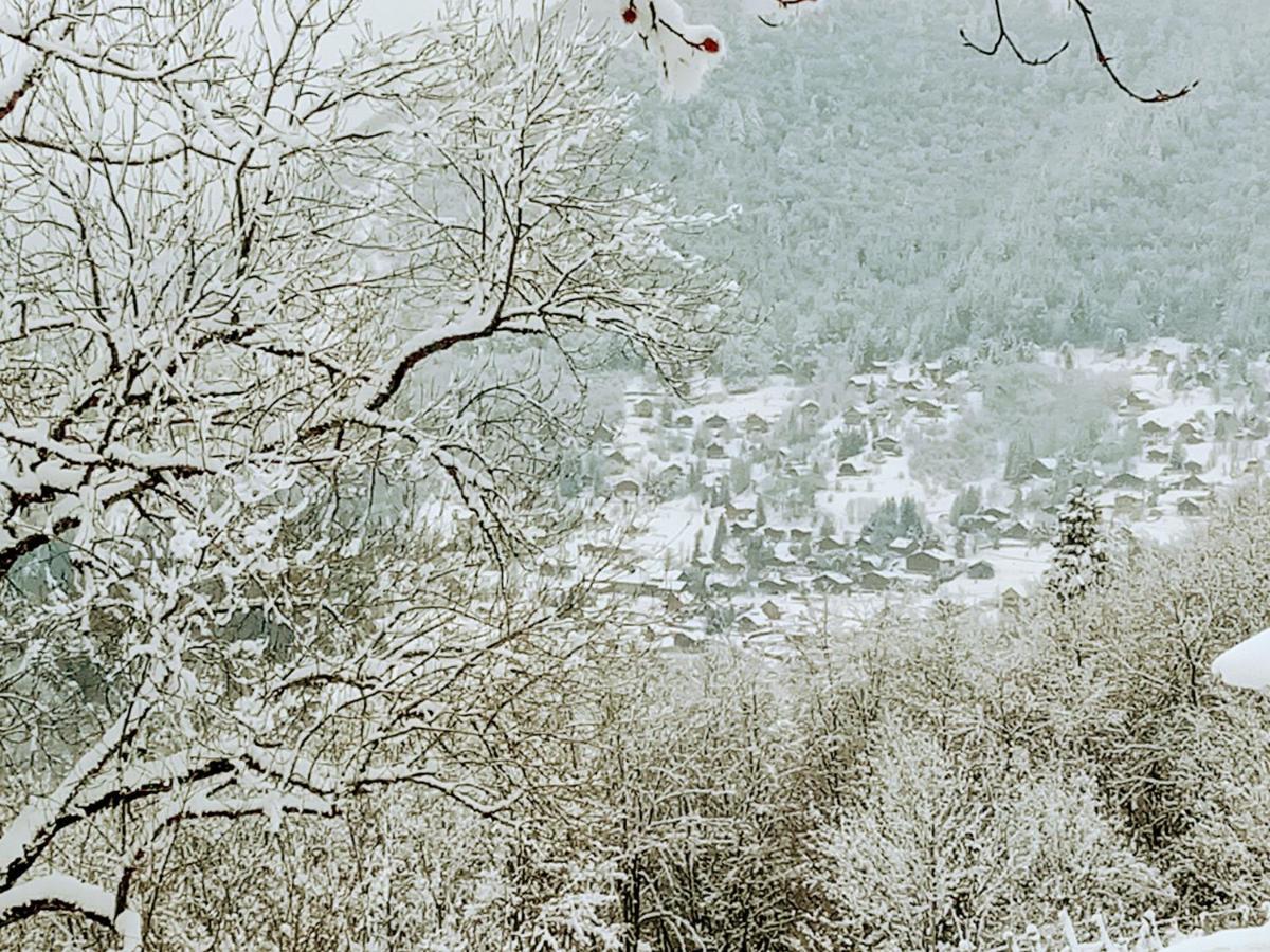Le Chalet Du Blanc Spa Yoga Aillon-le-Jeune Екстериор снимка