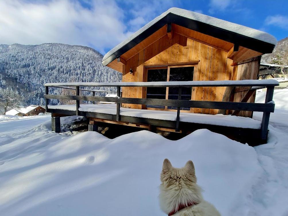 Le Chalet Du Blanc Spa Yoga Aillon-le-Jeune Екстериор снимка