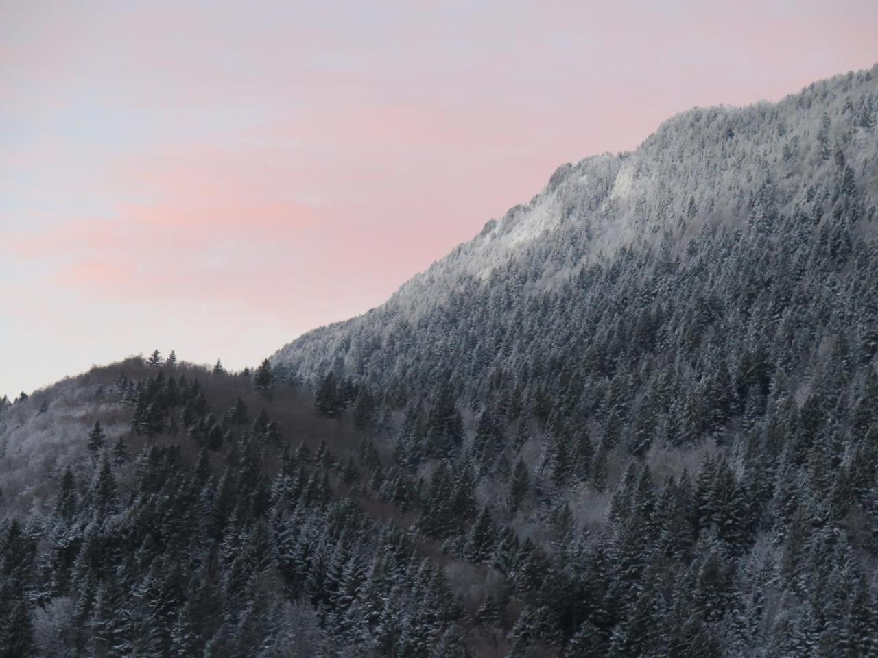 Le Chalet Du Blanc Spa Yoga Aillon-le-Jeune Екстериор снимка